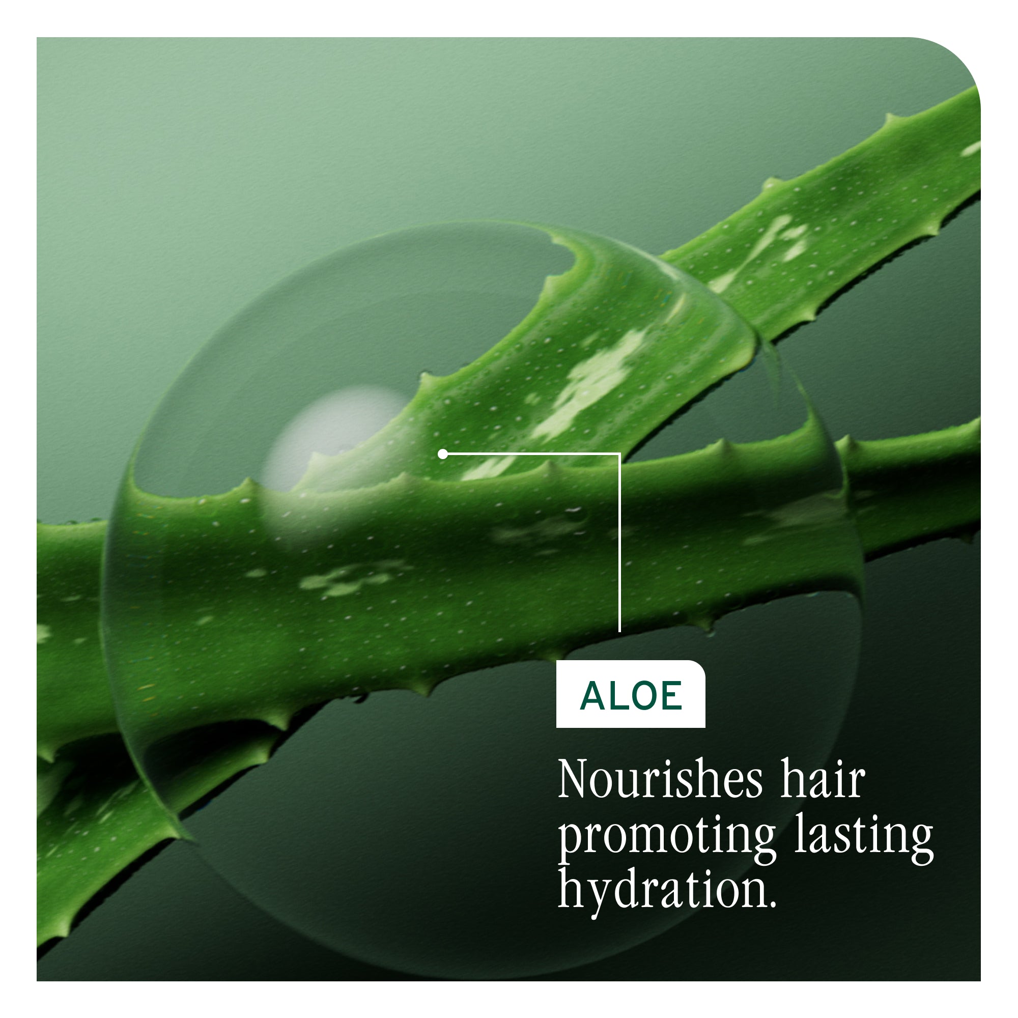 Matrix Biolage HydraSource Daily Leave In 400ml Hair Treatment Matrix