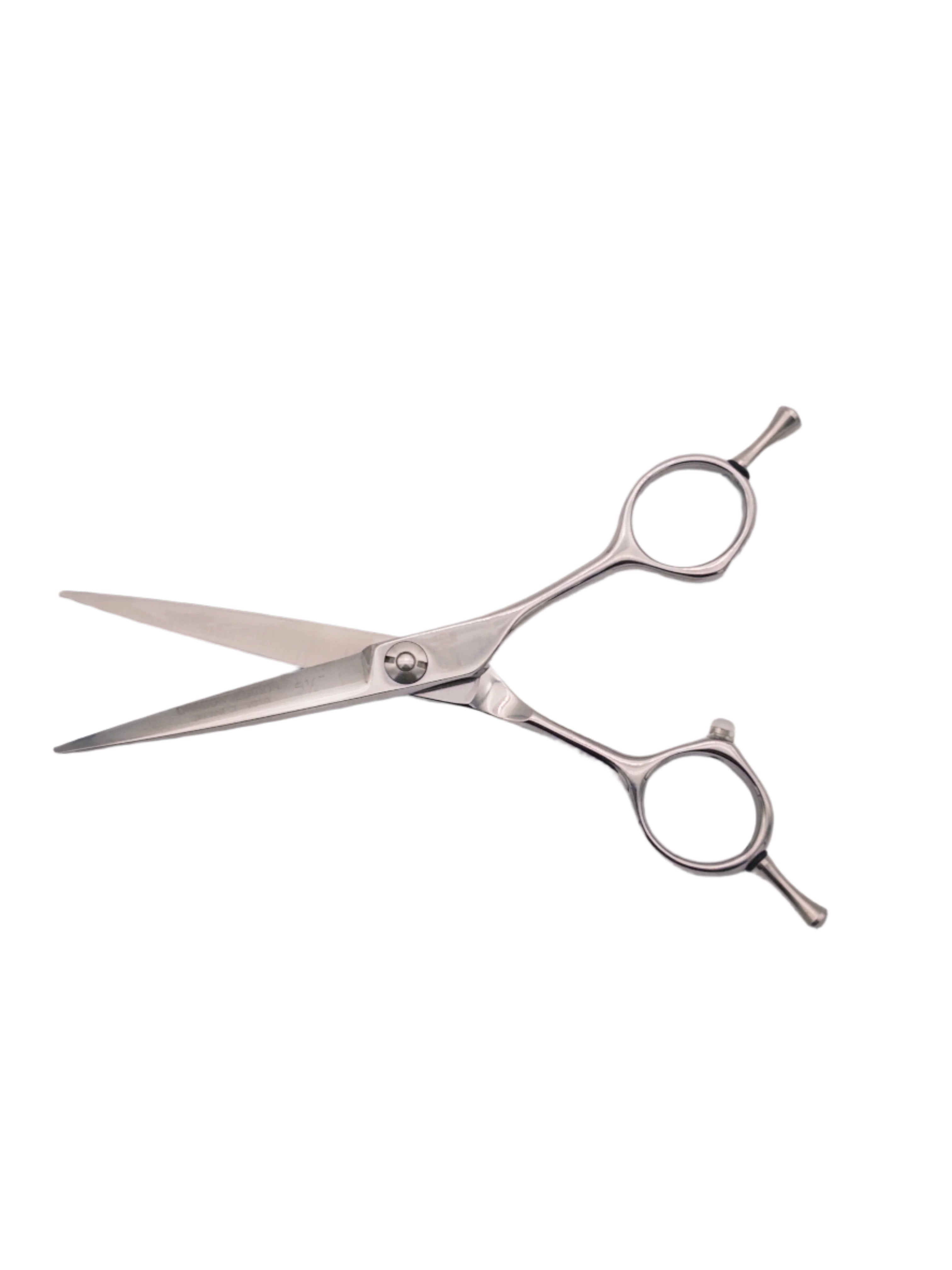 BOB Dragon Professional Edition 5.5 Inch Japanese Steel Scissor VG10 Cobalt Steel - Made In Italy Scissors Bob