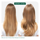 Matrix Biolage Volume Bloom Shampoo 400ml Shampoo/Conditioner Matrix