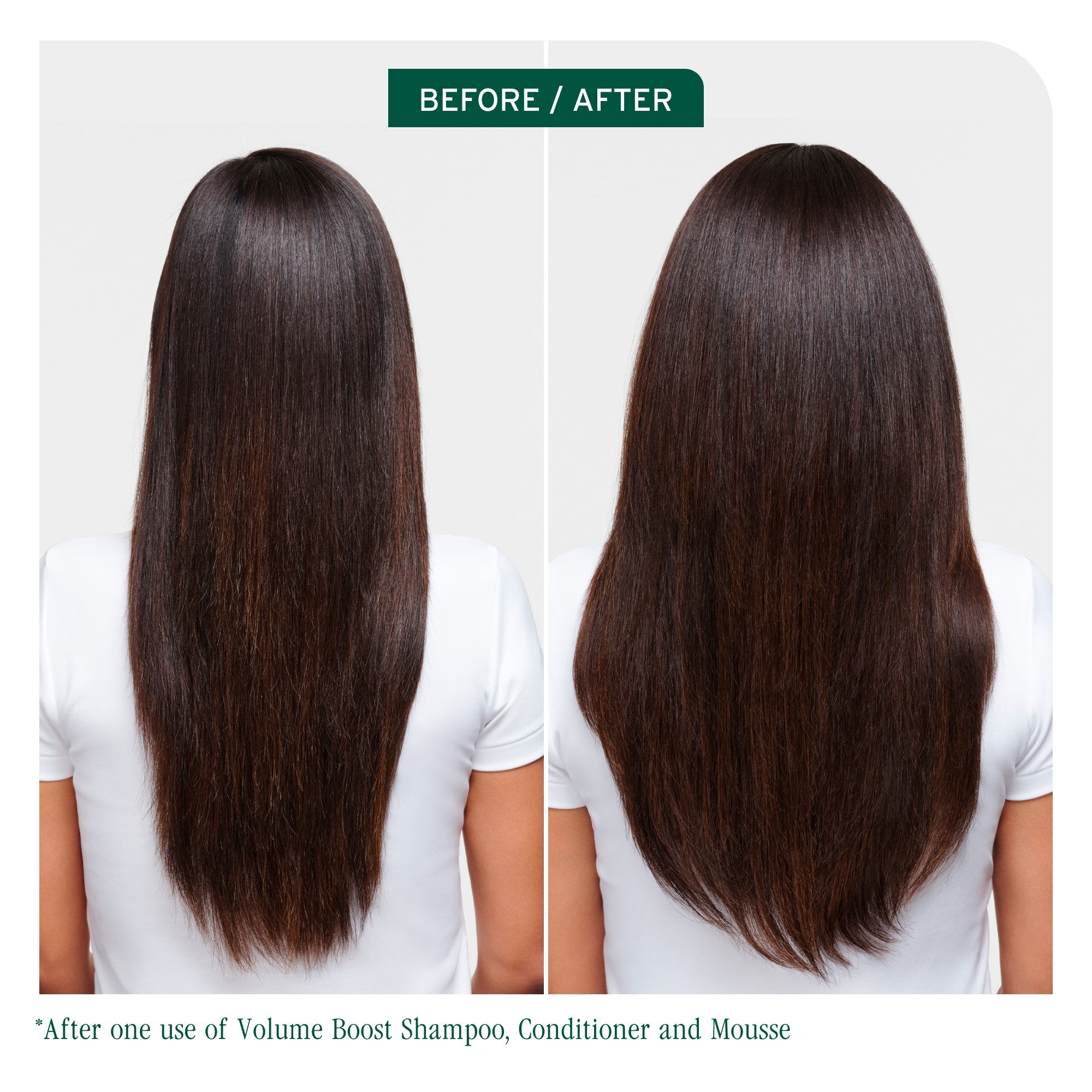 Matrix Biolage Volume Bloom Shampoo 400ml Shampoo/Conditioner Matrix