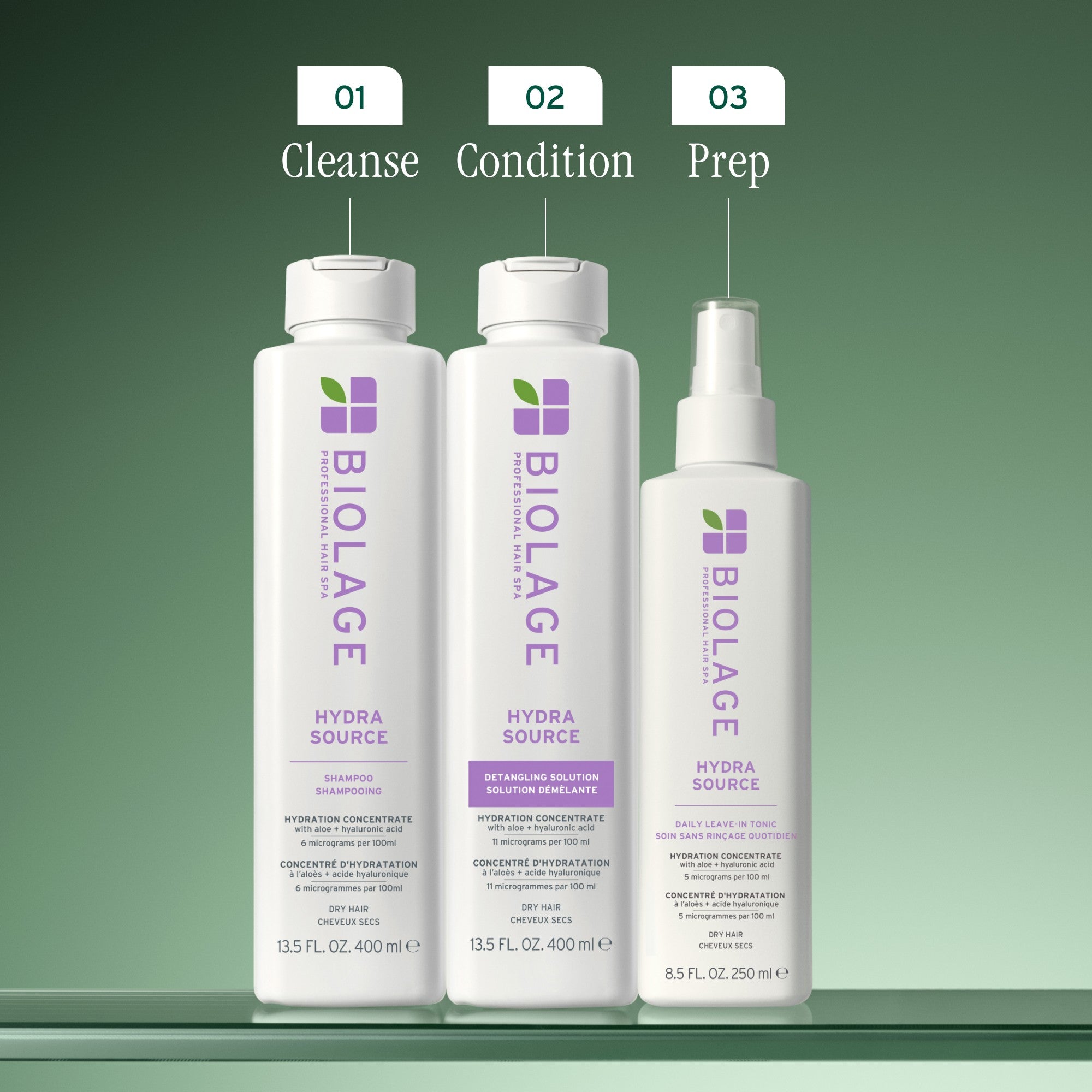 Matrix Biolage HydraSource Daily Leave In 400ml Hair Treatment Matrix