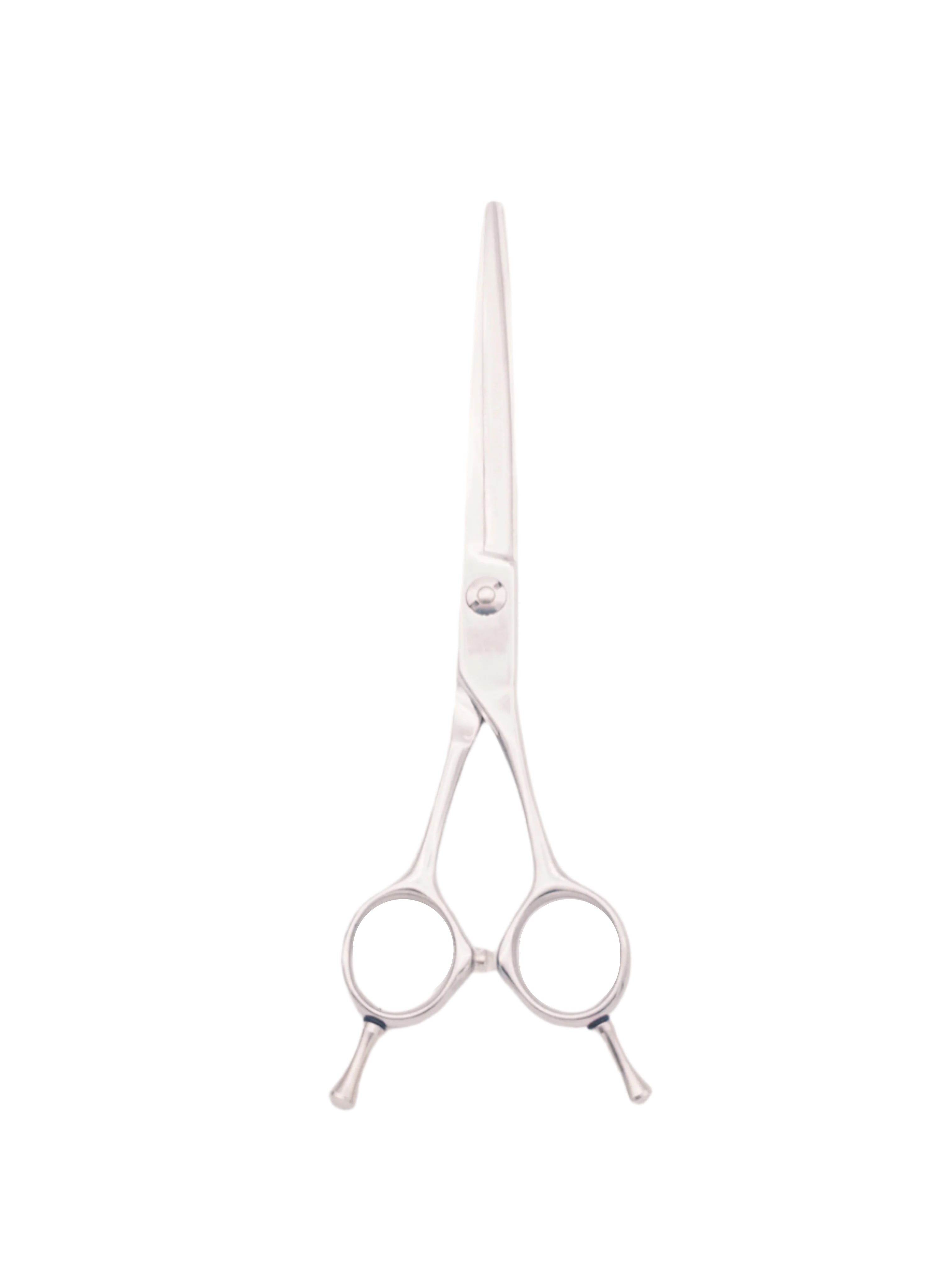 BOB Dragon Professional Edition 6.5 Inch Japanese Steel Scissor VG10 Cobalt Steel - Made In Italy Scissors Bob