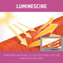 Goldwell DualSenses Green True Colour Shampoo Sulfate-Free 1L Shampoo/Conditioner Goldwell