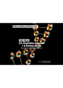 L'oreal Absolut Repair Molecular Shampoo 1.5L Shampoo/Conditioner Loreal