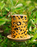 Framar Embossed Roll Party Animal 100m Foil Framar