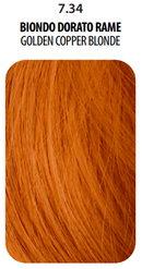 Farmagan Superlative Tone and Color Semi Permanent Hair Colour 100ml - Made In Italy