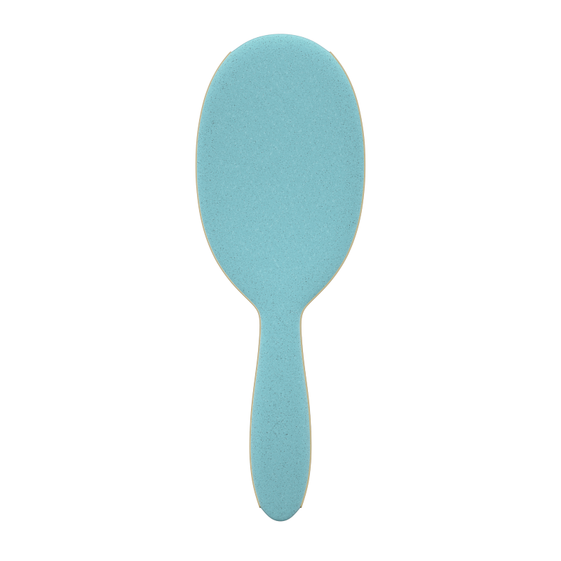 Framar Baecation Detangle Brush Aqua Hair Brush Framar