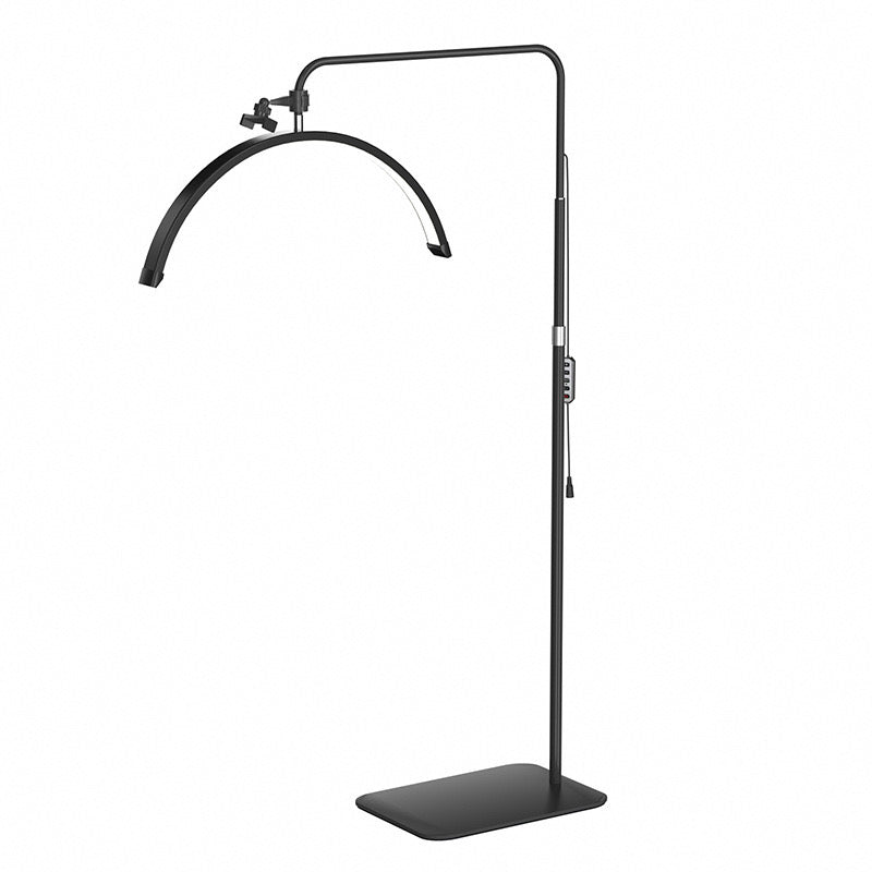 Karma LED Moon Light 23 inch Black Ring Lights - Moon Lights Karma