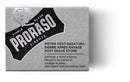 Proraso Allum Stone Retail Proraso