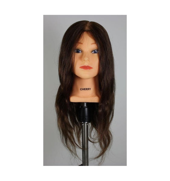 Tessa Human Hair Mannequin: For Styling, Up-Do's, Colors and