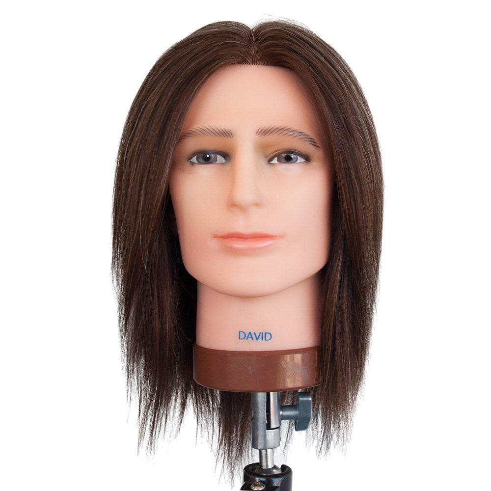 Dateline Professional Mannequin Medium Indian Hair No Beard Brown - David Mannequin Dateline